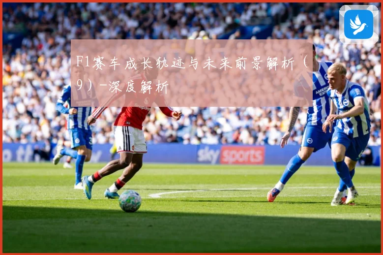 F1赛车成长轨迹与未来前景解析（9）-深度解析